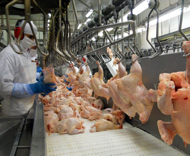 À primeira vista, o volume de carne de frango in natura embarcado na primeira semana de setembro (1 a 6, cinco dias úteis) já sinaliza novo recorde, porquanto a média diária alcançada – 25.618 toneladas – supera todos os resultados anteriores – e não só os dos últimos 13 meses, mas de toda a história das exportações do produto.